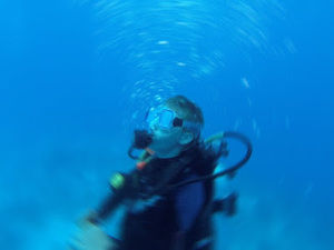 Meet your Posher, Luke